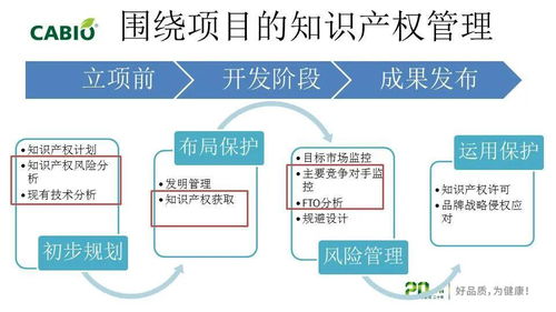 企業(yè)知識(shí)產(chǎn)權(quán)管理與專利信息利用 企業(yè)管理咨詢的新戰(zhàn)略視角
